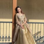 worked front slit long choli with shimmer lehnga